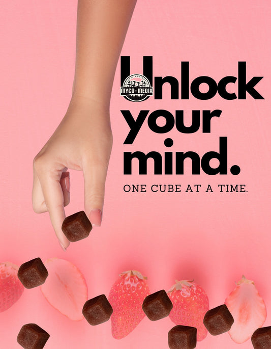 Neuro-Cubes – Lion’s Mane Mushroom Strawberry flavored Gummies (1000 mg per Gummy)