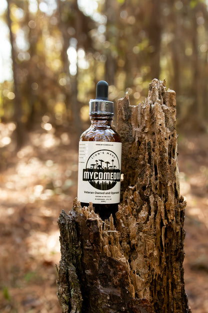 Wellness Bundle (Lion's Mane +Mycelium and Turkey Tail)